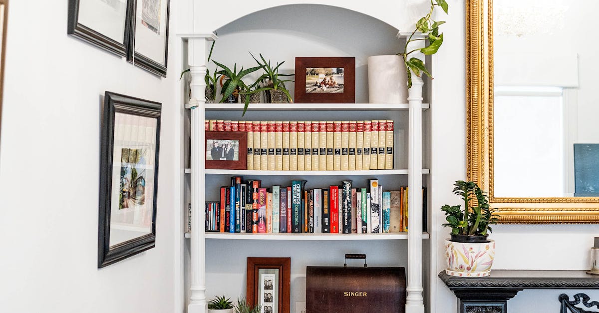 A Comprehensive Guide to Smart Restumping Solutions