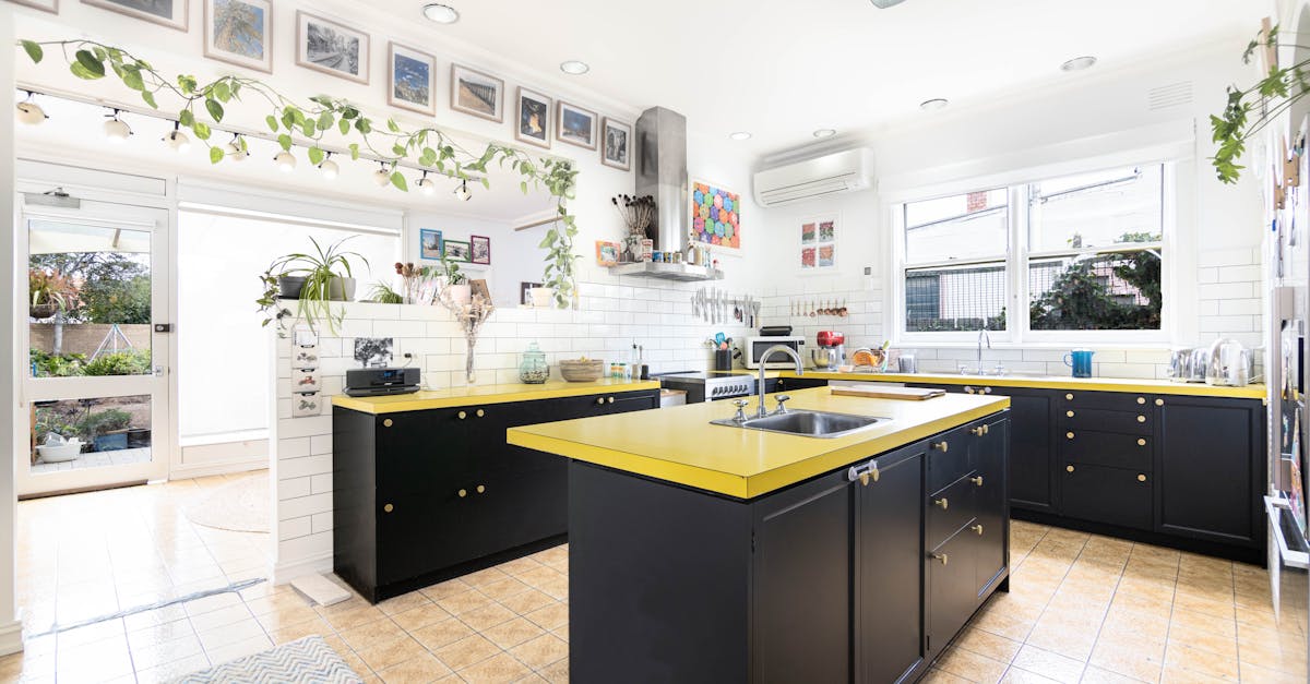 Comparing Traditional and Modern Techniques for House Restumping