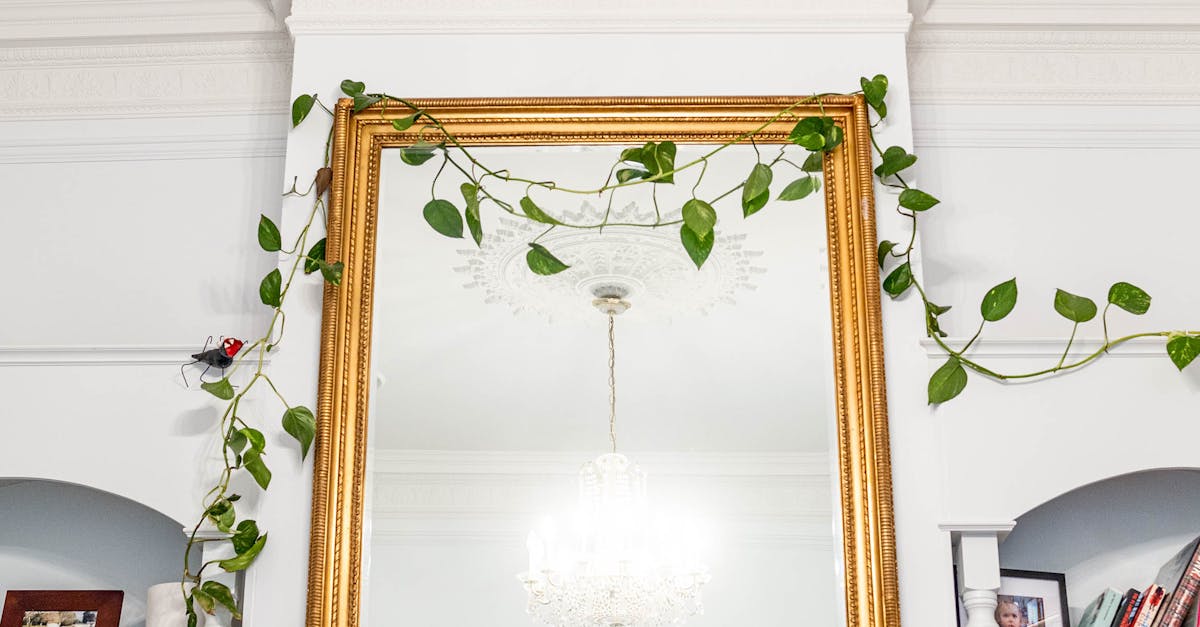 How Concrete Stumps Enhance Home Resale Value