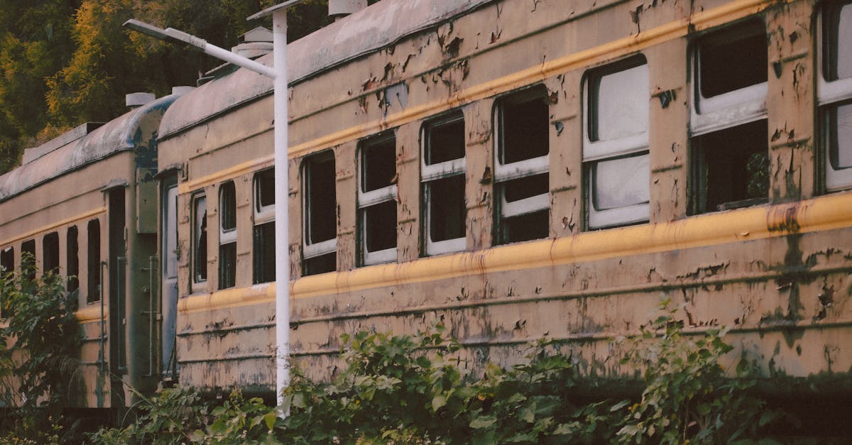 How Responsive Customer Service Impacts Your Restumping Choice