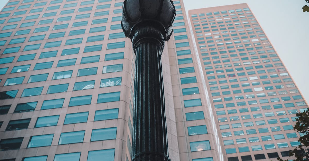 How to Verify the Insurance of Your Restumping Contractor