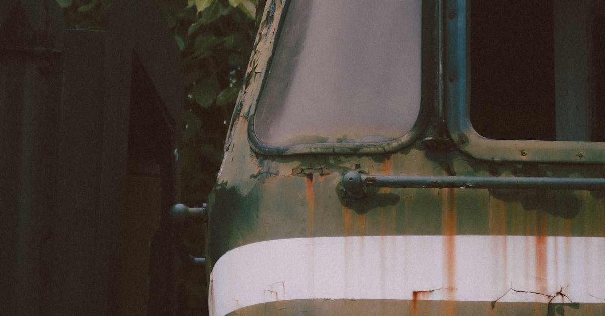 Identifying Red Flags: Lack of Qualifications in Restumping Services