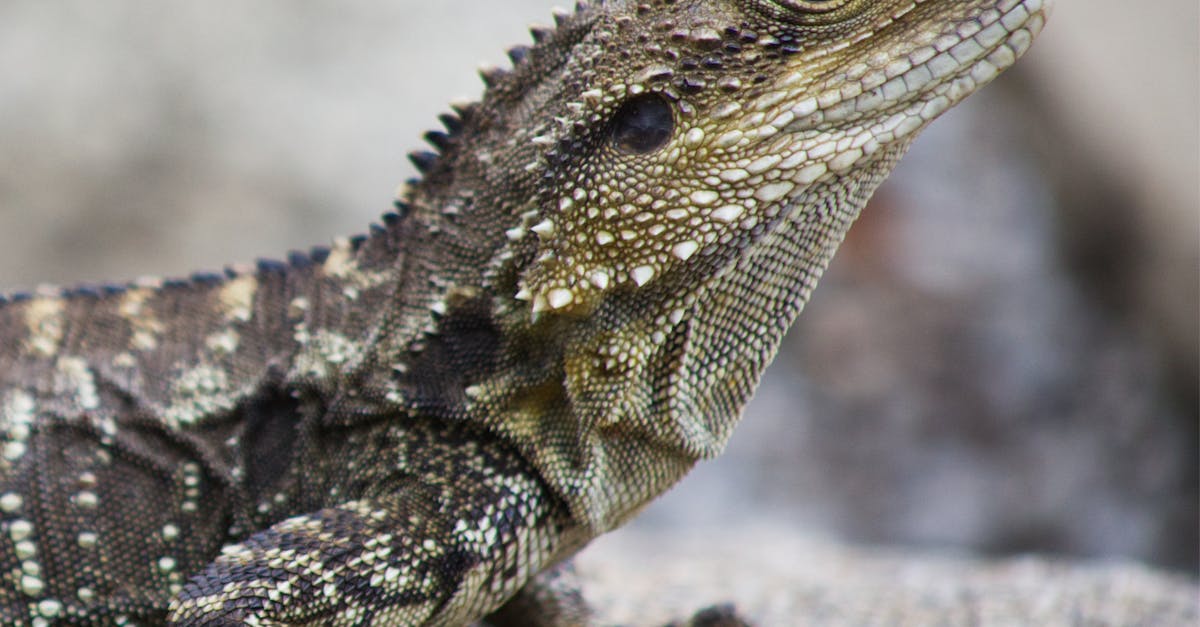 Safety Protocols in Modern Restumping Practices