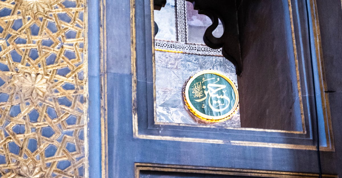 What to Consider When Reviewing Multiple Restumping Providers