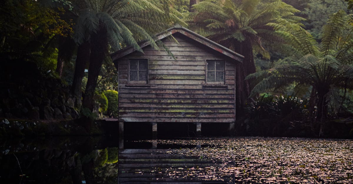 What to Look for in a Restumping Warranty